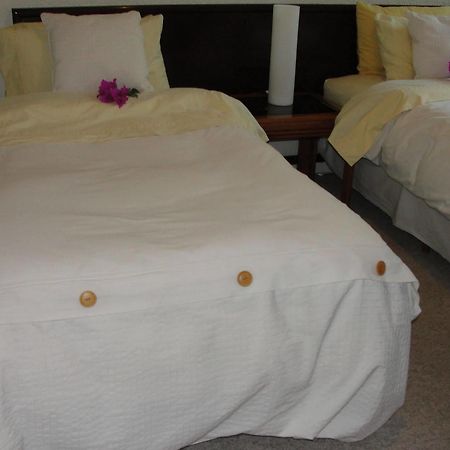 Steinhaus Suites Homero Meksika Dış mekan fotoğraf