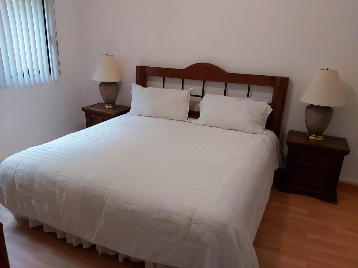 Steinhaus Suites Homero Meksika Dış mekan fotoğraf