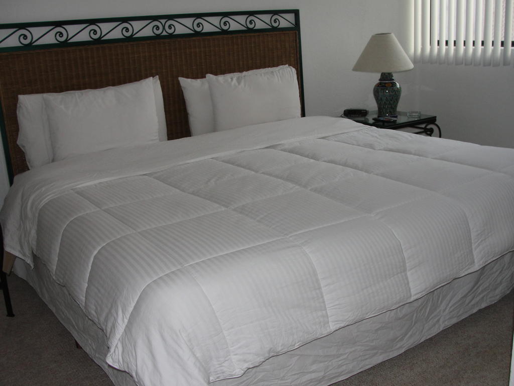 Steinhaus Suites Homero Meksika Dış mekan fotoğraf