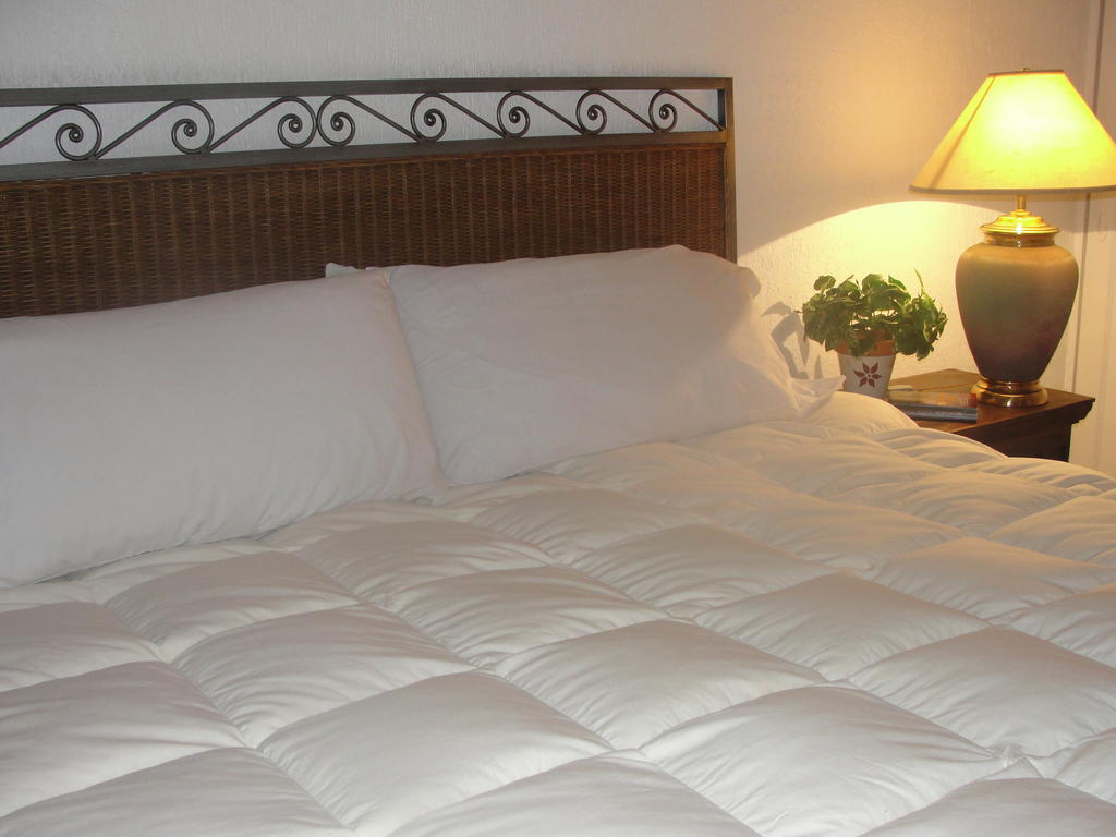 Steinhaus Suites Homero Meksika Dış mekan fotoğraf