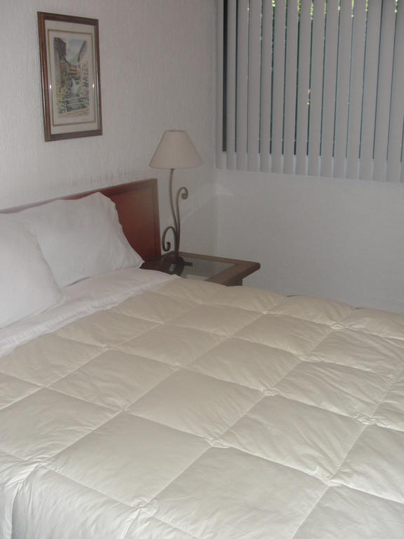 Steinhaus Suites Homero Meksika Dış mekan fotoğraf