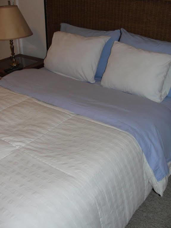 Steinhaus Suites Homero Meksika Dış mekan fotoğraf